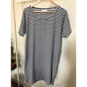 Everlane Short Sleeve Cotton Jersey Stripe Dress